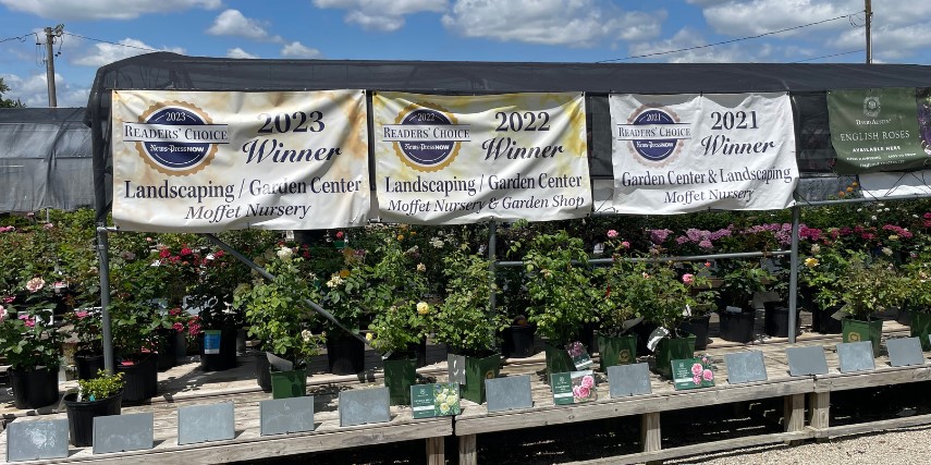 Row of plants in a nursery with three banners hung overhead.
