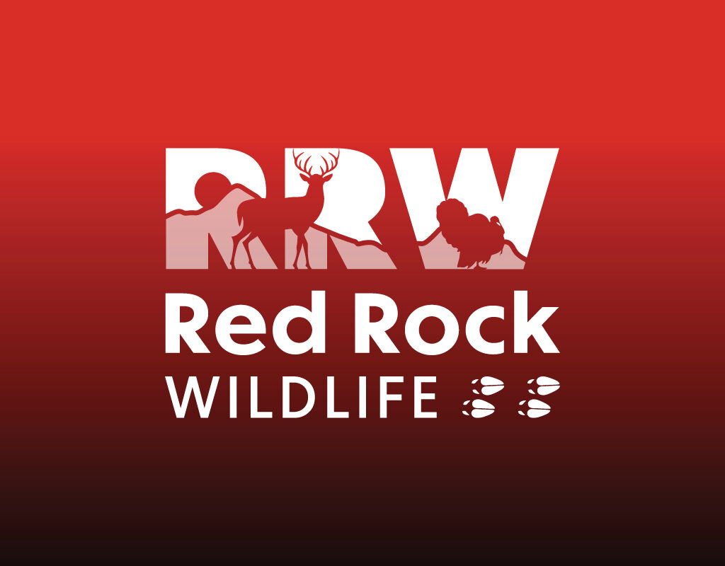 Red Rock Wildlife