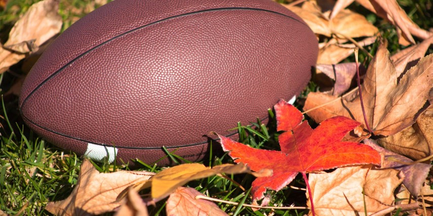 A clean, new football is sitting on some turf against some fall leaves.